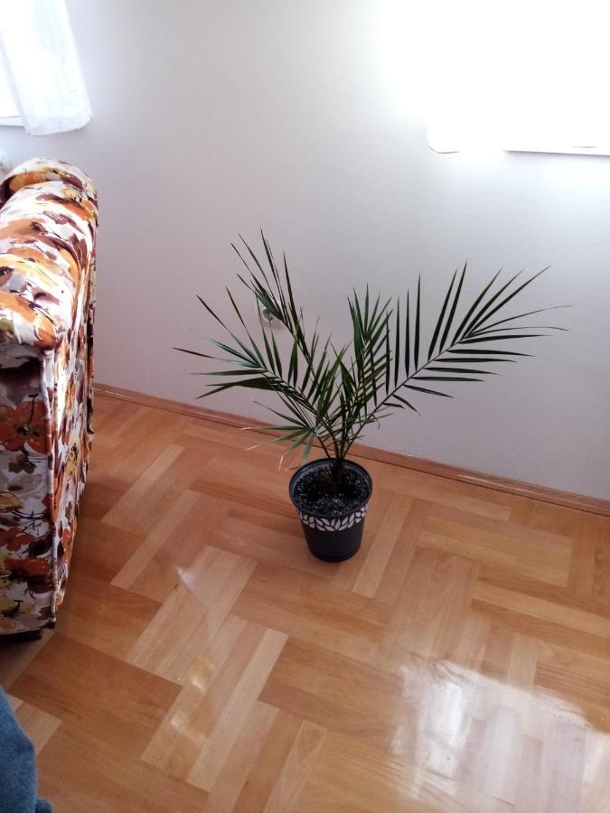 Apartman Maca بايرت المظهر الخارجي الصورة